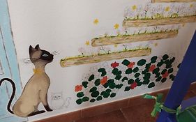 B&B Il Gatto Pescatore